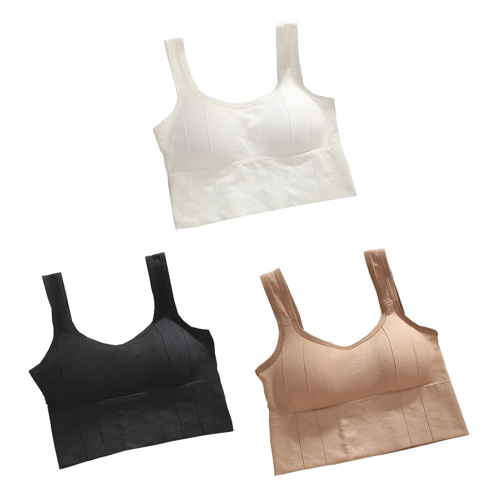 Sutiã Esportivo sem Aro - Kit com 3 unidades