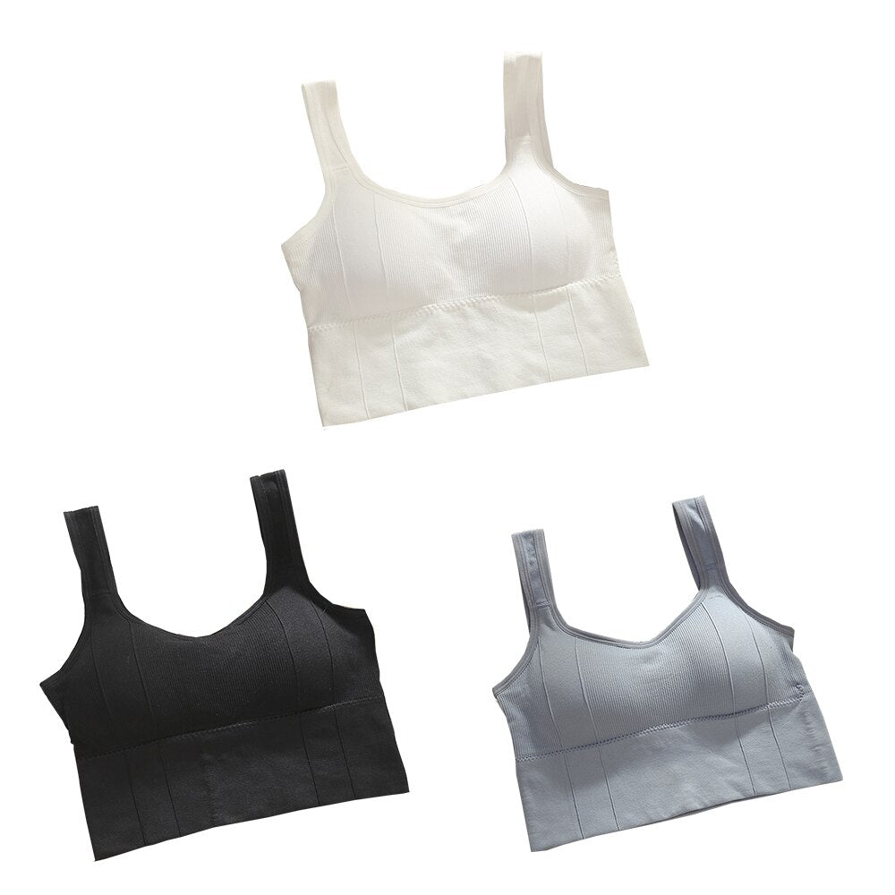 Sutiã Esportivo sem Aro - Kit com 3 unidades