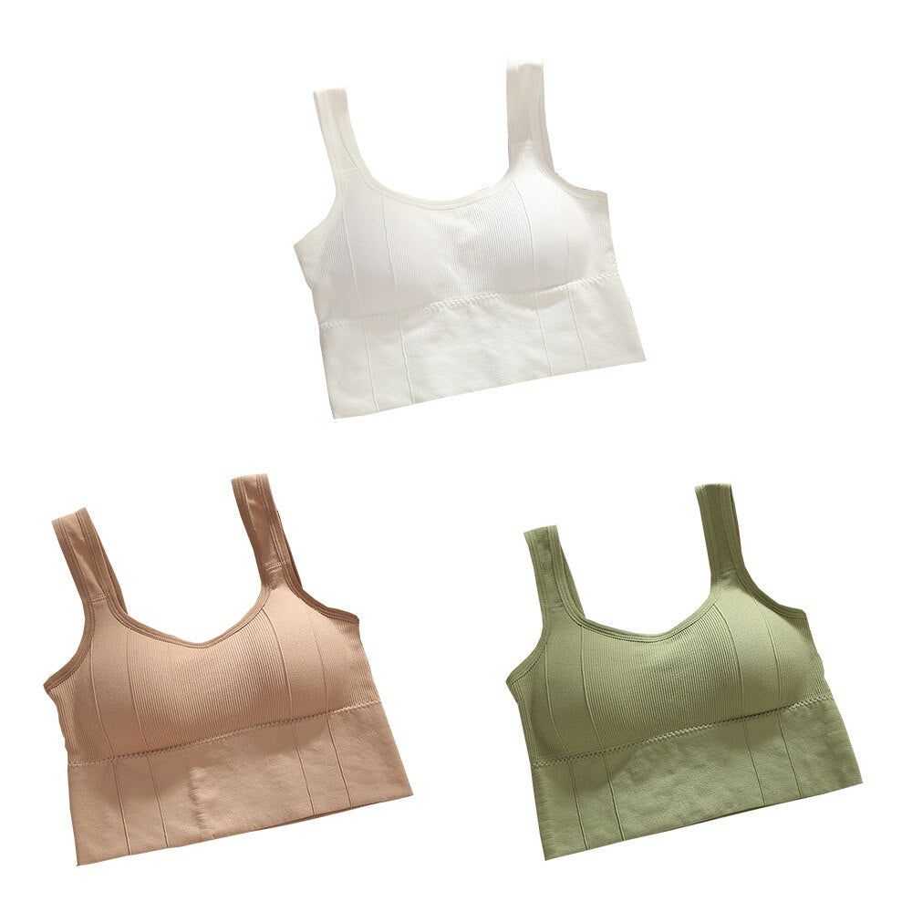 Sutiã Esportivo sem Aro - Kit com 3 unidades