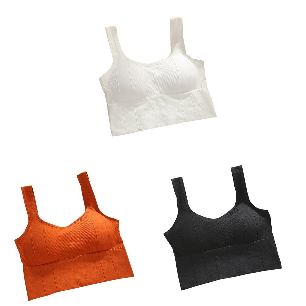 Sutiã Esportivo sem Aro - Kit com 3 unidades