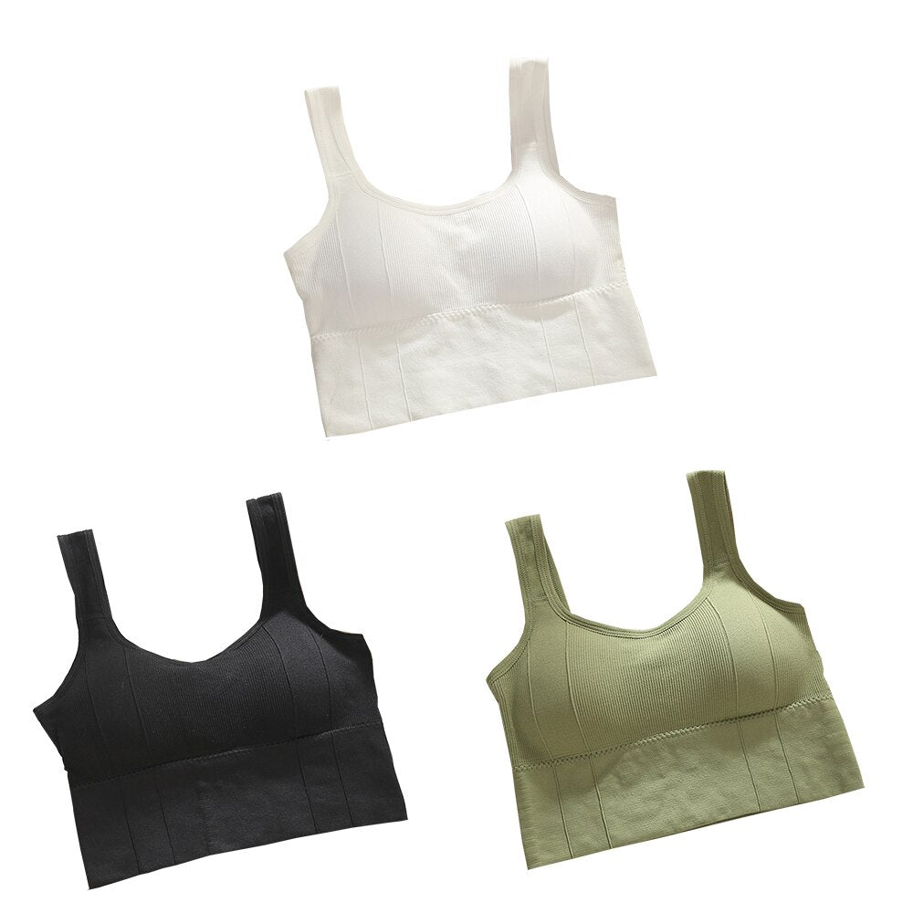 Sutiã Esportivo sem Aro - Kit com 3 unidades