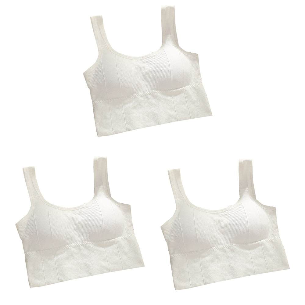 Sutiã Esportivo sem Aro - Kit com 3 unidades
