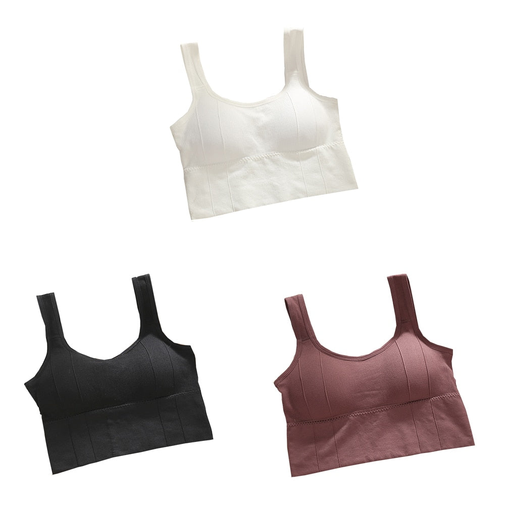 Sutiã Esportivo sem Aro - Kit com 3 unidades
