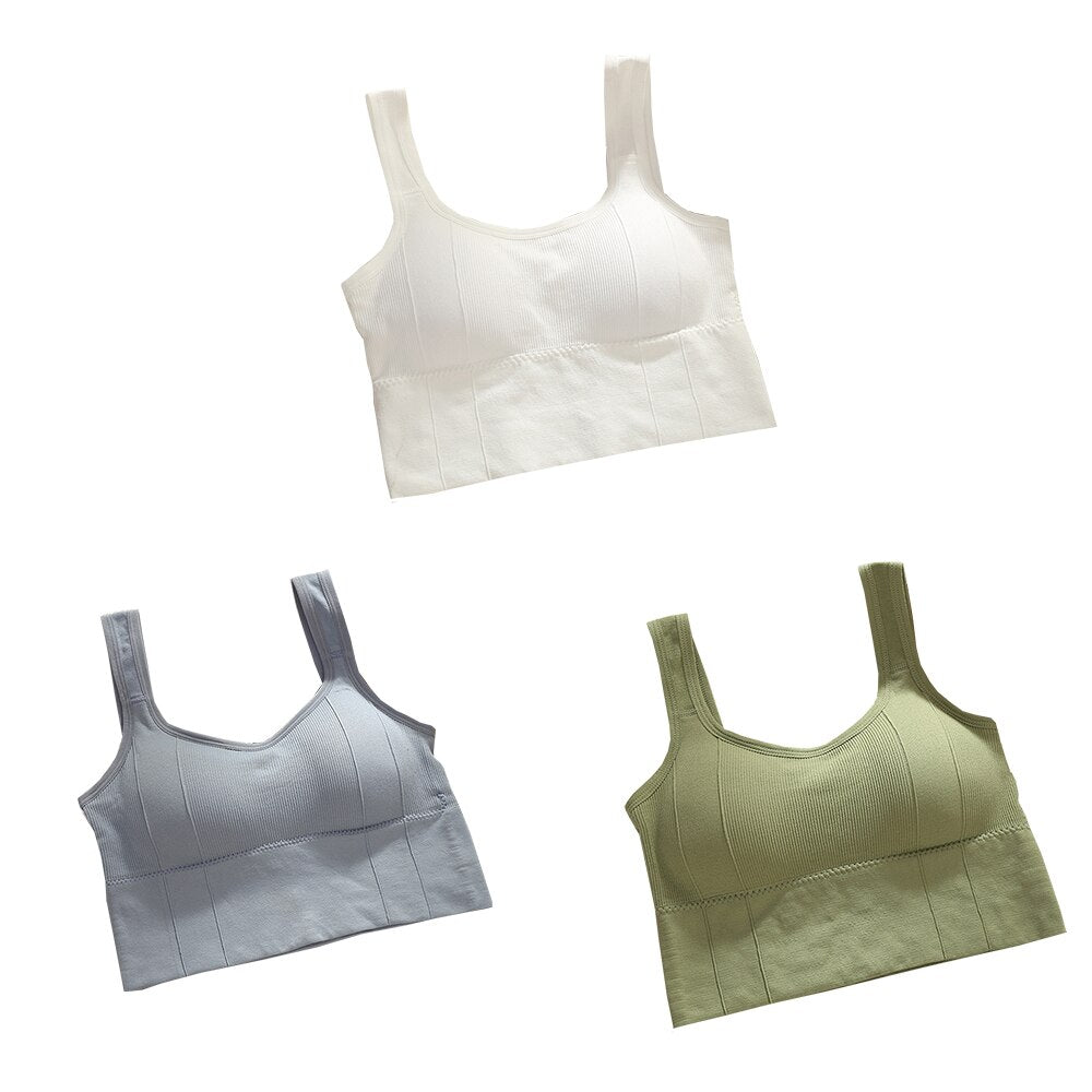 Sutiã Esportivo sem Aro - Kit com 3 unidades